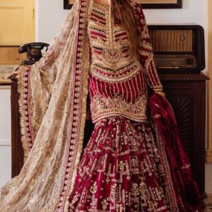 luxury heavy embroidered sharara ✨ (dz#478)