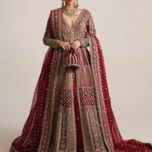 bridal style heavy embroidered maxi gown 👑 (dz#520)