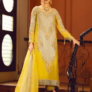 Home luxury heavy embroidered 2pc suit ✨ (dz#489)