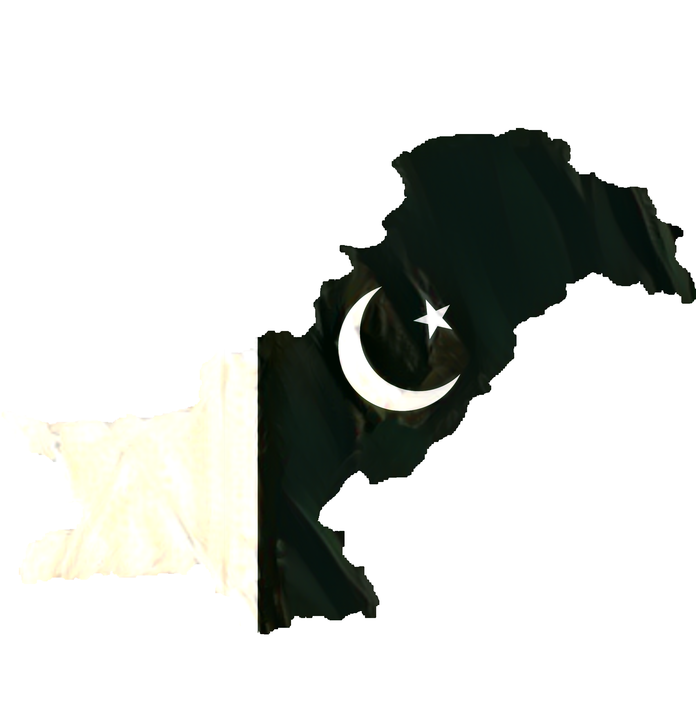 Home pakistan logo