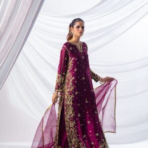 luxury embroidered shirt & dupatta set (dz#528)